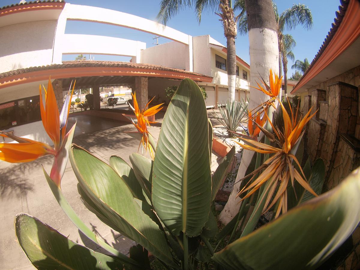 Auto Hotel Niza Tlaquepaque Екстер'єр фото